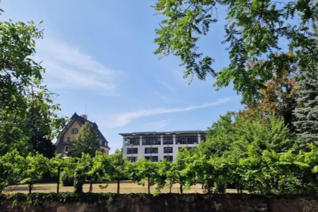 Apartmán Wohnwerk: Penthouse - Moselblick Traben-Trarbach Exteriér fotografie